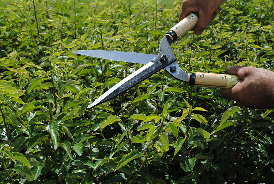 Okatsune 214 Heckenschere – 765 mm | Breiter Hals | 500 mm Griff | 175 mm Klinge