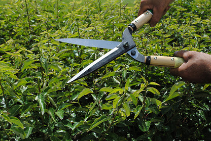 Okatsune 214 Heckenschere – 765 mm | Breiter Hals | 500 mm Griff | 175 mm Klinge