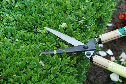 Okatsune 216 Heckenschere kurz – 515 mm | 300 mm Griff | 145 mm Klinge | 740 g