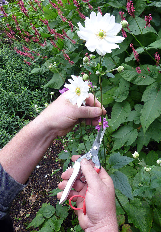 Okatsune 304 Blumenschere – 190 mm | 45 mm Klinge | 2,3 mm Klingenstärke | 110 g