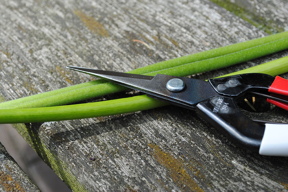 Okatsune 304 Blumenschere – 190 mm | 45 mm Klinge | 2,3 mm Klingenstärke | 110 g
