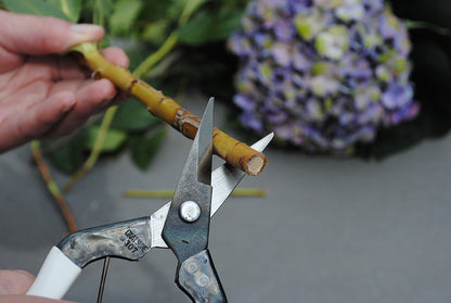 Okatsune 307 Stecklingsschere – Kurze 35-mm-Klinge | Japanische Profi-Stecklingsschere