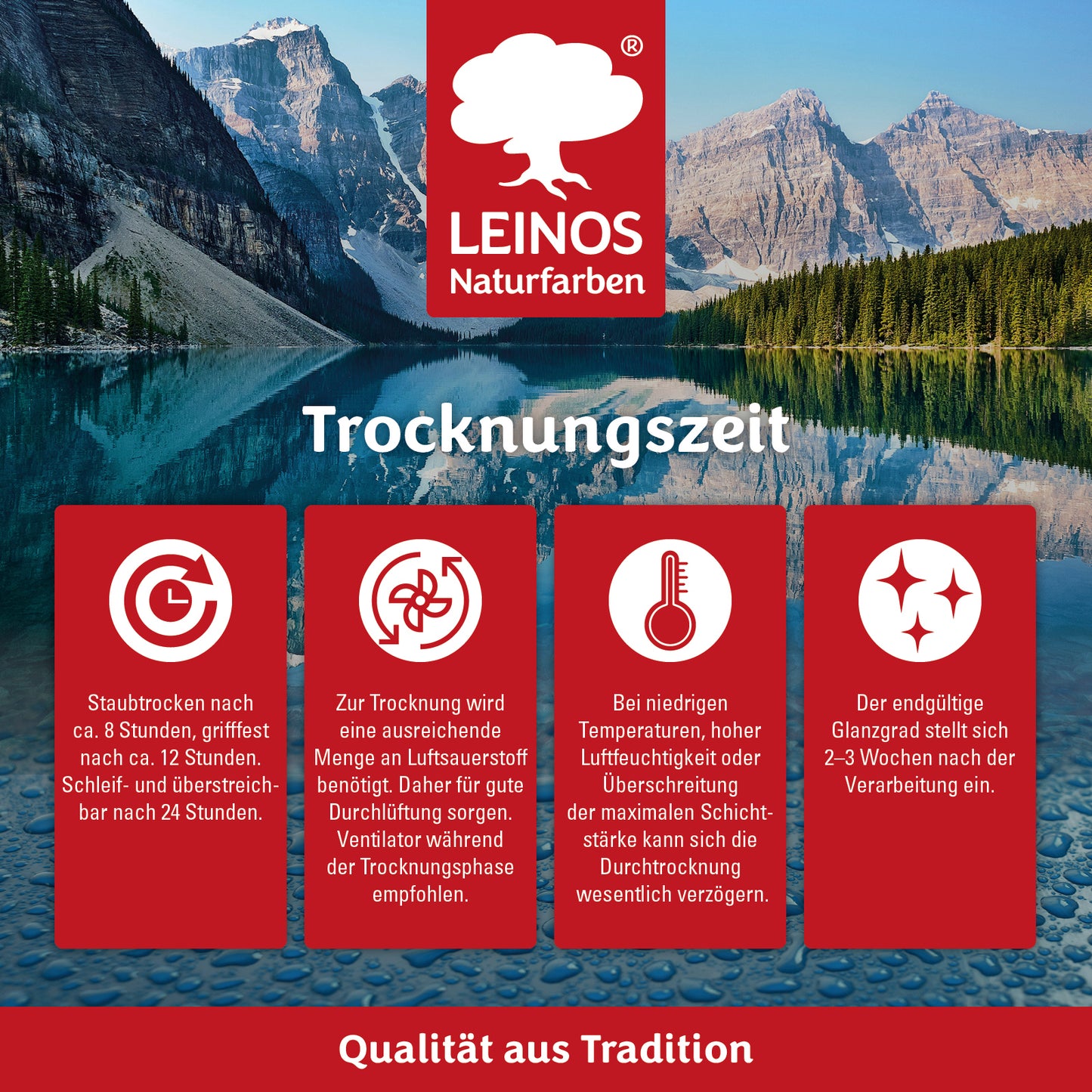 LEINOS Decklack glänzend 840 Laubgrün 2500 ml wasserabweisender Holzlack für Innen und Außen hoch deckend wetterbeständig für Holz Metall und Steinzeug mit brillanter Farbwirkung und Holzschutz