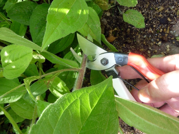 OKATSUNE 103 – Japanische Gartenschere 200 mm | ultra-scharf, robust | Schnitt bis 25 mm für Rosen, Reben, Sträucher & Obstbäume | 55 mm Klinge | 227 g | präziser Sauberschnitt für Garten, Obstbau