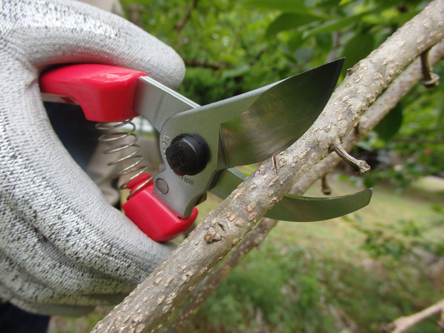 ARS Garten/Rosenschere 130DX speziell für Frauen  Geeignet für den Schnitt von Zweigen, Ästen und anderen Pflanzen, ideal für den Einsatz in jedem Garten