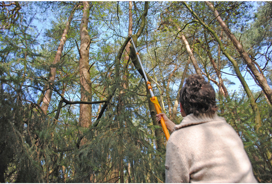 SILKY Longboy Teleskopsäge 3-teilig | ausziehbar bis 3,6 m (Reichweite bis 4,5 m) | nur 1,45 m Transportlänge | 360 mm Klappsägeblatt mit Sichel | ovale Alu-Stange, Profi-Astsäge für Obstbau & Garten