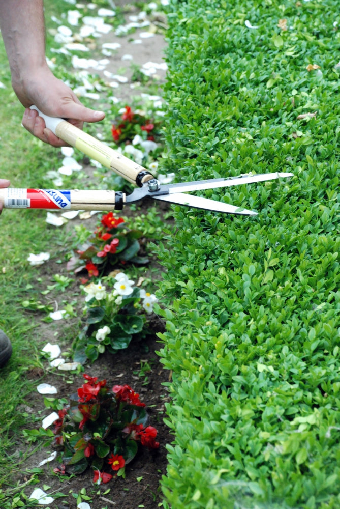 Okatsune 217 Heckenschere – Profi-Gartenschere aus Izumo Yasugi-Stahl | 535 mm