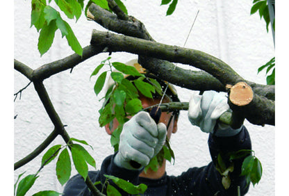Silky Gomtaro Pro-Sentei 300 mm Japansäge – Sonderedition mit Fein- und Grobverzahnung, geradem Blatt, Hartchrombeschichtung, Gummigriff und Köcher für präzise Schnitte in Garten und Obstbau