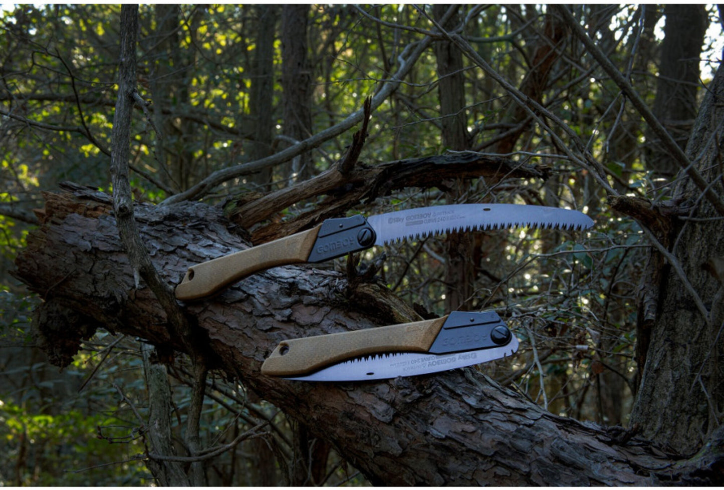 SILKY- Gomboy Curve Outback Edition 240 mm: grob verzahnte Klappsäge (8 Z/30 mm) mit gebogener Klinge aus Premium Japanese Steel, schwarzer Nickel-Zinn-Beschichtung – Bushcraft & Jagd.