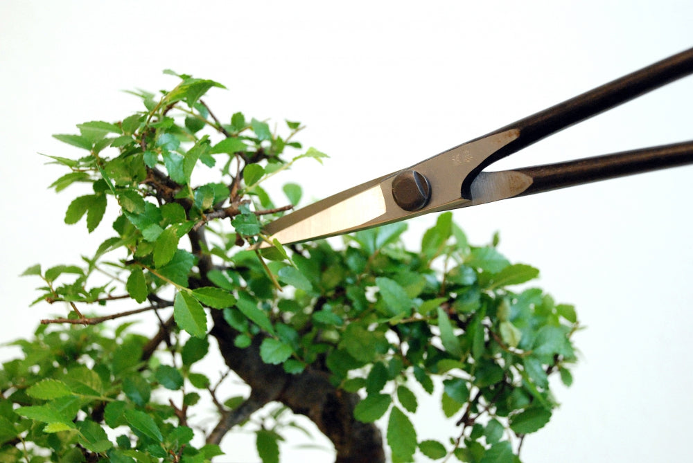 Okatsune 206 Bonsai-Schere – 220 mm | 55 mm Klinge | Ultraleicht 175 g | Präzisions-Gartenschere